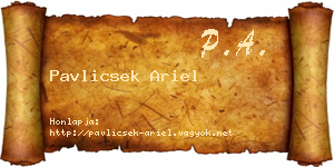 Pavlicsek Ariel névjegykártya